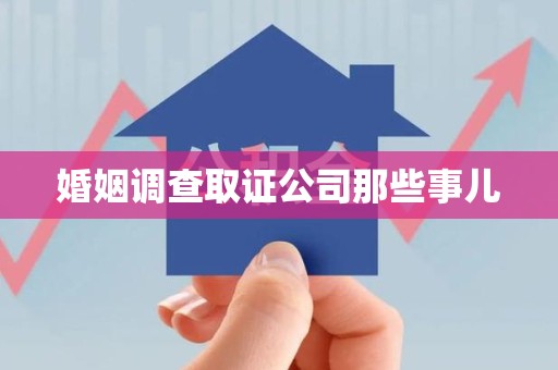 大连婚姻调查取证公司那些事儿