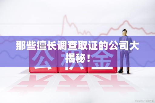 大连那些擅长调查取证的公司大揭秘！