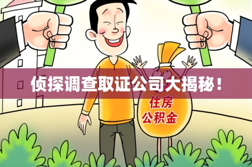 大连侦探调查取证公司大揭秘！