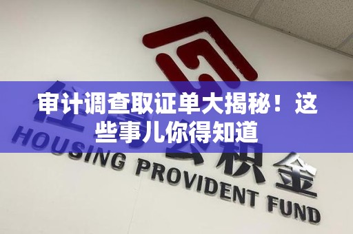 大连审计调查取证单大揭秘！这些事儿你得知道