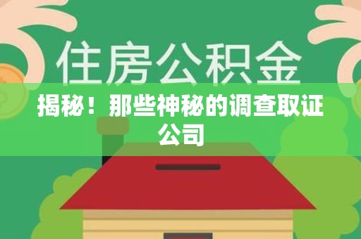 大连揭秘！那些神秘的调查取证公司