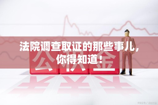 大连法院调查取证的那些事儿，你得知道！