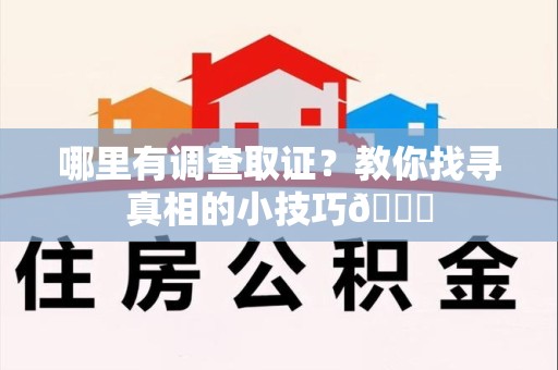 大连哪里有调查取证？教你找寻真相的小技巧😎