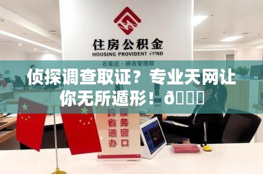 大连侦探调查取证？专业天网让你无所遁形！😎