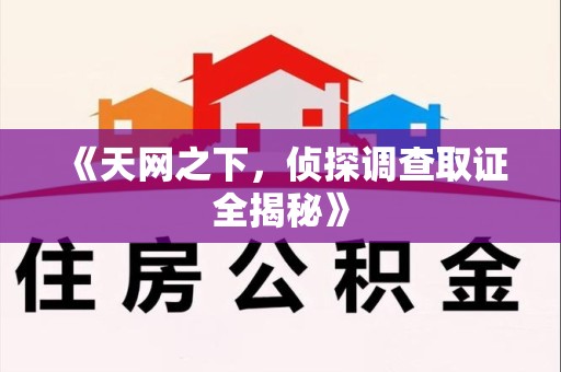大连《天网之下，侦探调查取证全揭秘》