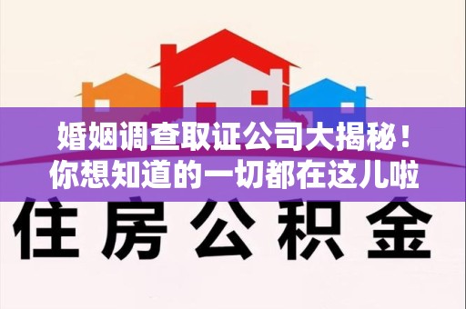 大连婚姻调查取证公司大揭秘！你想知道的一切都在这儿啦😉