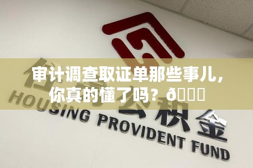 大连审计调查取证单那些事儿，你真的懂了吗？😎