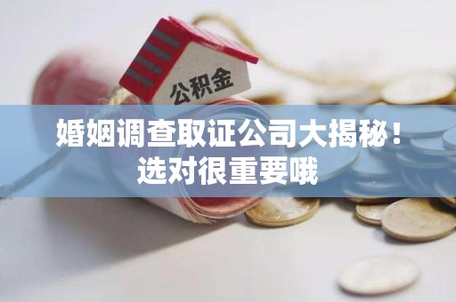 大连婚姻调查取证公司大揭秘！选对很重要哦