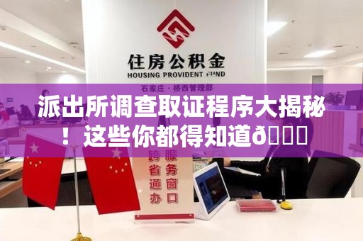 大连派出所调查取证程序大揭秘！这些你都得知道😉