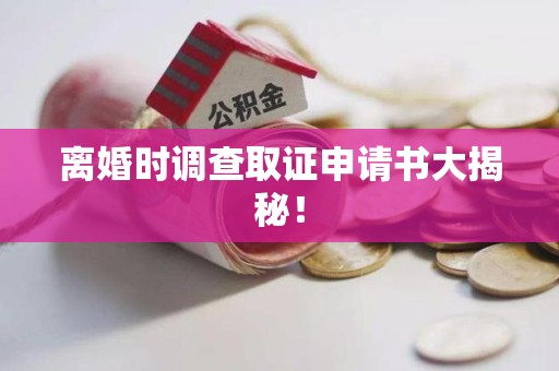 大连离婚时调查取证申请书大揭秘！